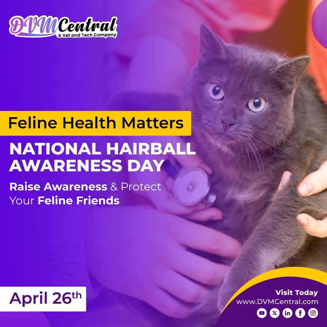 🐱 It's National Hairball Awareness Day. Did You Know Hairballs Can Be More than Just a Nuisance for Your Furry Friends? Stay Informed & Keep Your Pets Healthy. 
.
#nationalhairballawarenessday #vetlife #vetstudent #dvmcentral #vetusa #vettech #veterinarymarketplace
