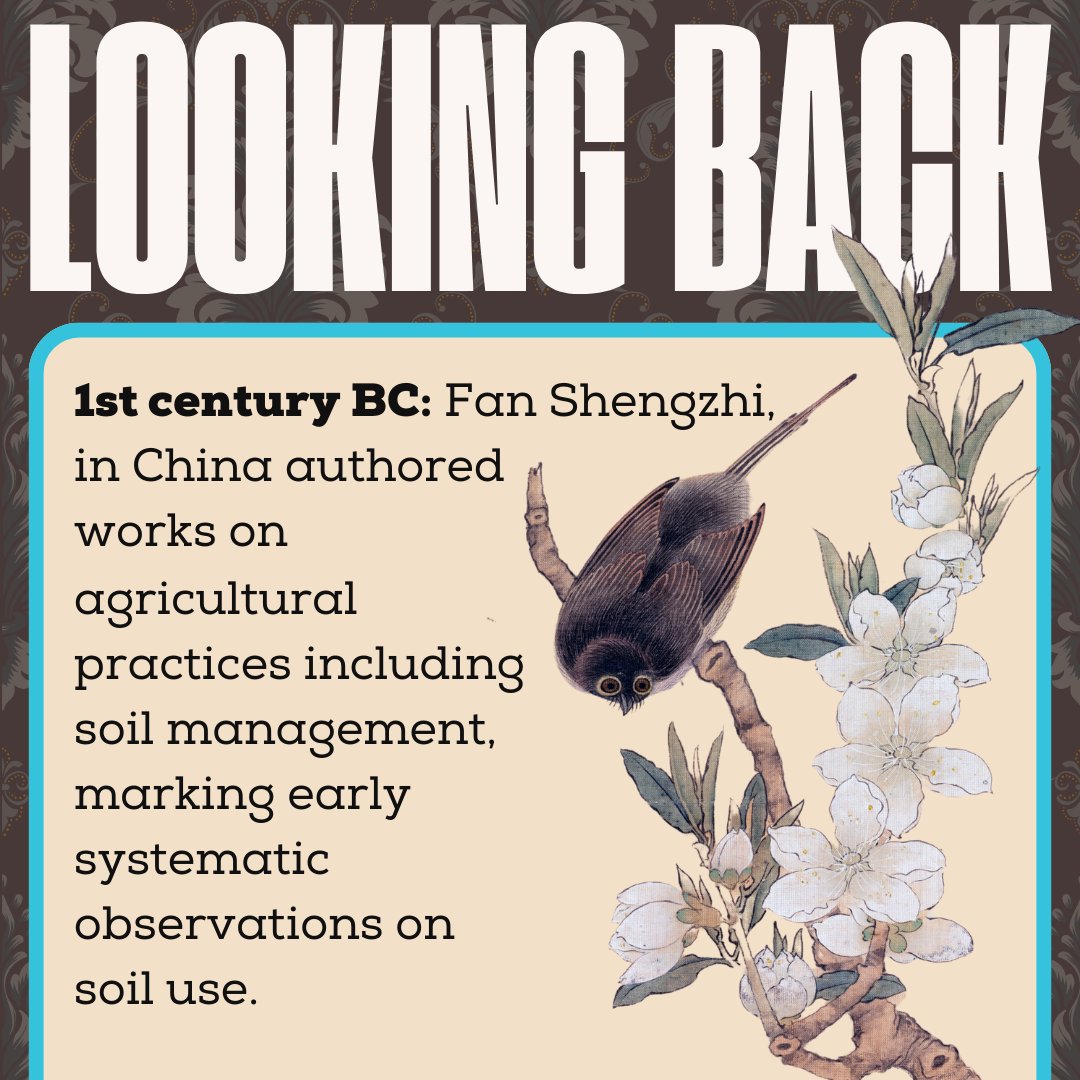 En-Turf by Earth Microbial tweet media