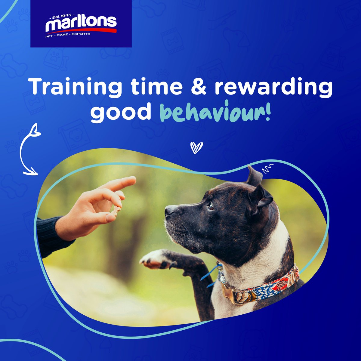 Does your dog get the zoomies after a walk? Need a healthy pick-me-up during playtime? Training session leaving them a little peckish? Healthy snacks are the answer! 🐶💖

Swipe through to see all the different snack occasions! 😊
#Marltons #PetCare #HealthyTreats #SnackTime