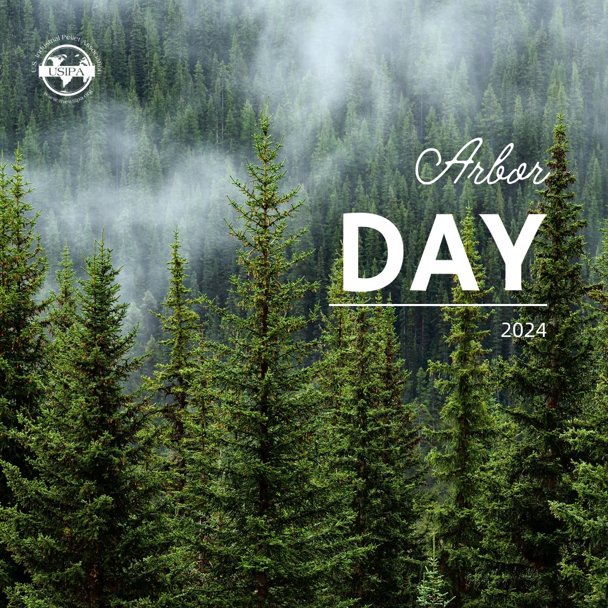 Our members promote sustainable forestry practices that ensure the health and regeneration of forests. Our commitment to responsible sourcing means that more trees are planted for every tree used, fostering a healthy cycle of growth and renewal. 🌲 #ArborDay #SustainableForestry