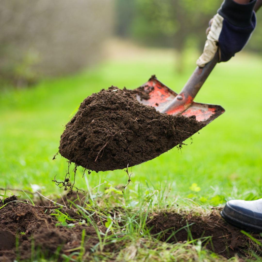 Dig with caution! Failure to locate underground utilities before digging can cause costly damages to vital gas, electric, and water lines. 
📞 800-227-260  
💻alamoca.org
.
.
. 
#AIA #Alamo #AlamoCA #Community #Call811 #TreeProtectionOrdinance