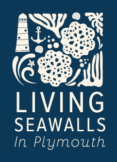 Living Seawalls in Plymouth (@plymseawalls) on Twitter photo Come and find us on the Barbican at Pirates Weekend, 18th & 19th May! A fab weekend of sea shanties, pirate ships and learning all about Living Seawalls in Plymouth and the value of our coastlines! <a href="/plymouthpirates/">Pirates Weekend Plymouth</a> <a href="/WhatsOnPlymouth/">What's On Plymouth</a> Come and find us on the Barbican at Pirates Weekend, 18th & 19th May! A fab weekend of sea shanties, pirate ships and learning all about Living Seawalls in Plymouth and the value of our coastlines! <a href="/plymouthpirates/">Pirates Weekend Plymouth</a> <a href="/WhatsOnPlymouth/">What's On Plymouth</a>