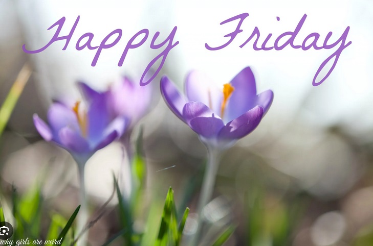 Happy Friday! You are meant to live a life full of magic! 🌞 

#happyfriday #spring #crocus #magical #positivelysunshine