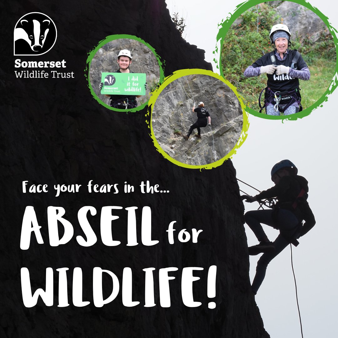 It's not too late to sign up for our #AbseilForWildlife! 🦅 In just over 3 weeks' time, a team of our supporters will be challenging themselves (from 130 feet!) to help raise vital funds for Somerset's wildlife and wild places! Will you join them? 👇 somersetwildlife.org/support-us/fun…