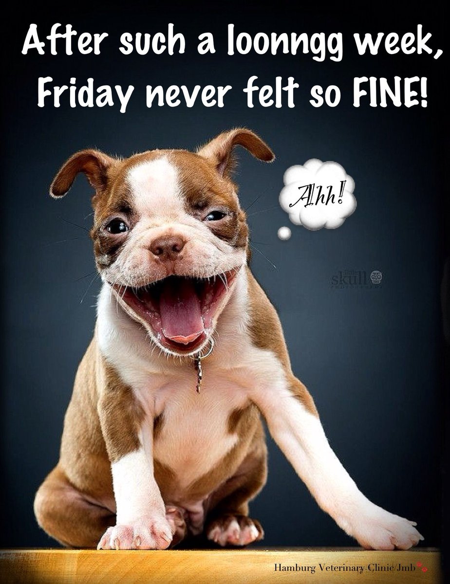 TGIF!

After a week that felt longer than a Monday morning meeting, Friday is finally here, and it's strutting in like it owns the place!

Never has the sound of the weekend been so sweet! 🎶

Let's celebrate by putting the 'Fri' in 'Yay'!

#FridayFeeling #WeekendWarrior'