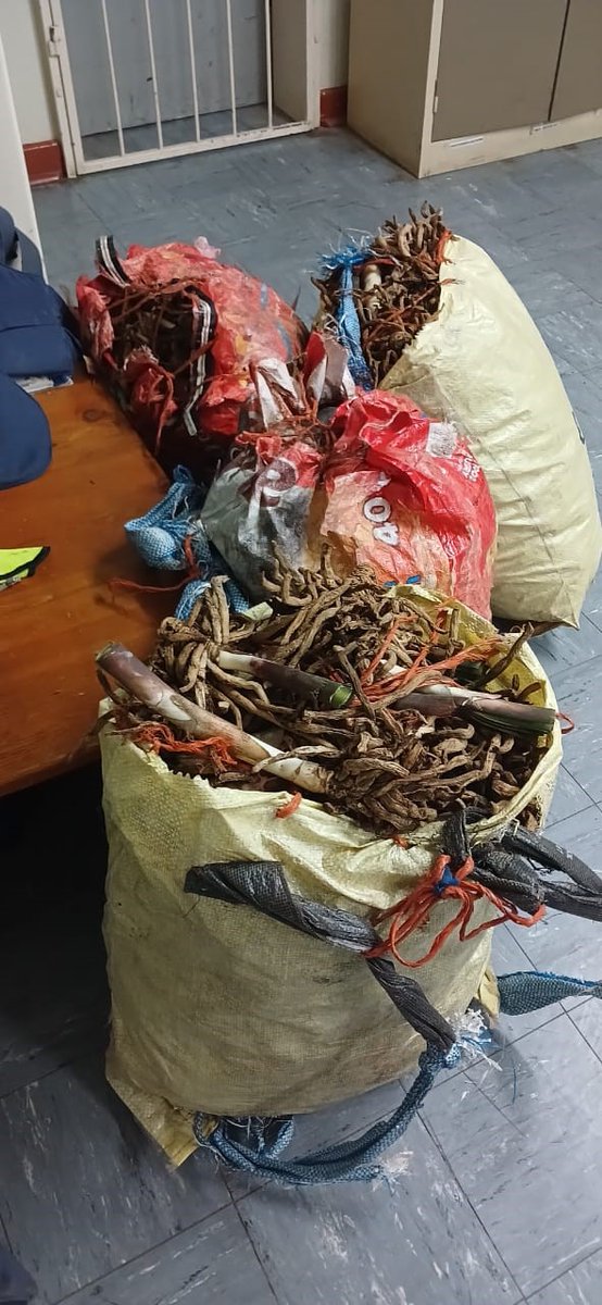 #sapsWC #PartnershipPolicing between Vanrhynsdorp #SAPS and the Department of Nature Conservation during an integrated intelligence driven operation in the area between Klawer and Vanrhynsdorp on the N7, led to the arrest of 2 suspects, aged 30 and 38, on a charge of theft of