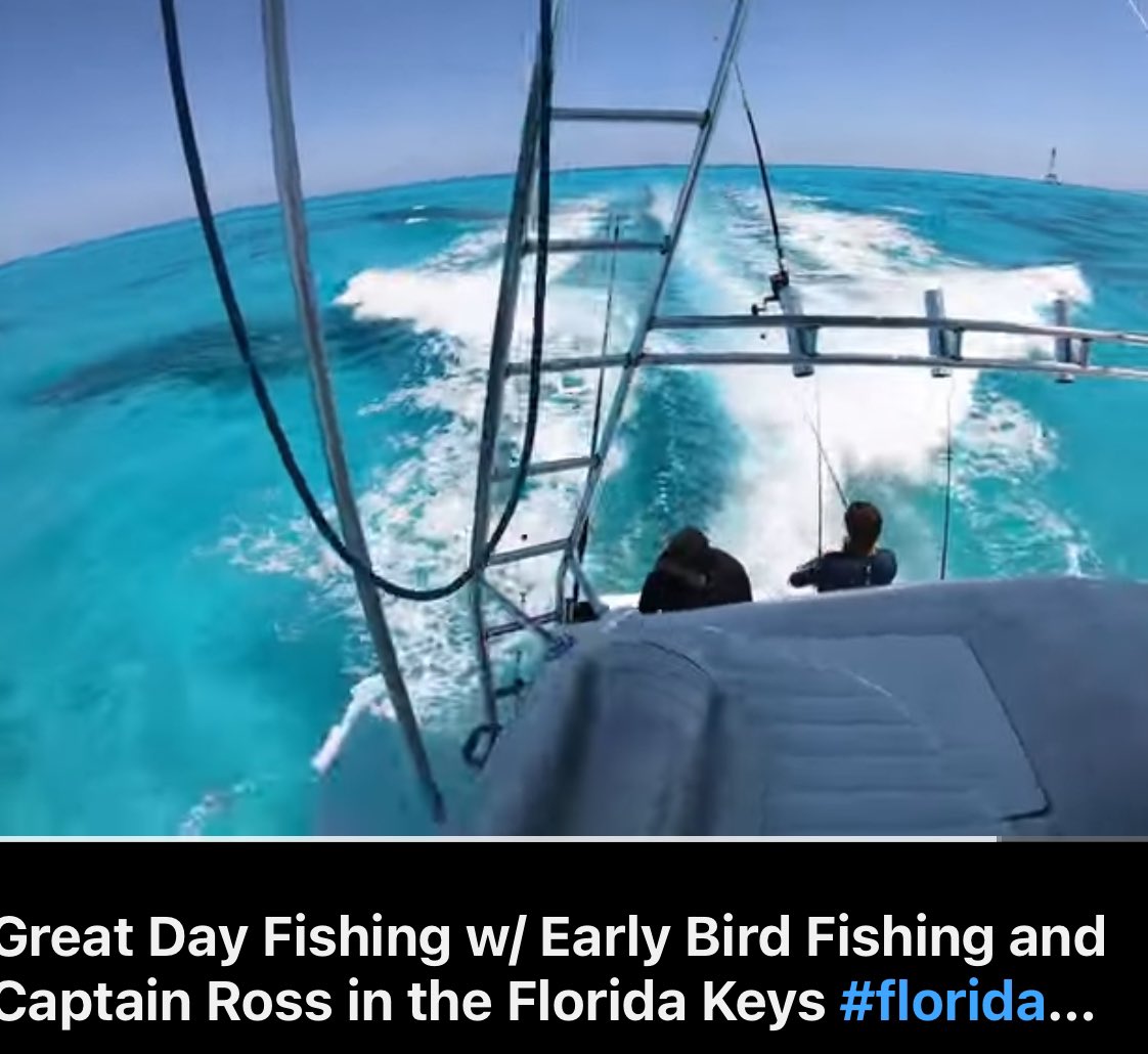 youtu.be/pgcsFevYOxc?si…

#fishing
#islamorada
#floridakeys
#earlybirdfishing
#bigfish