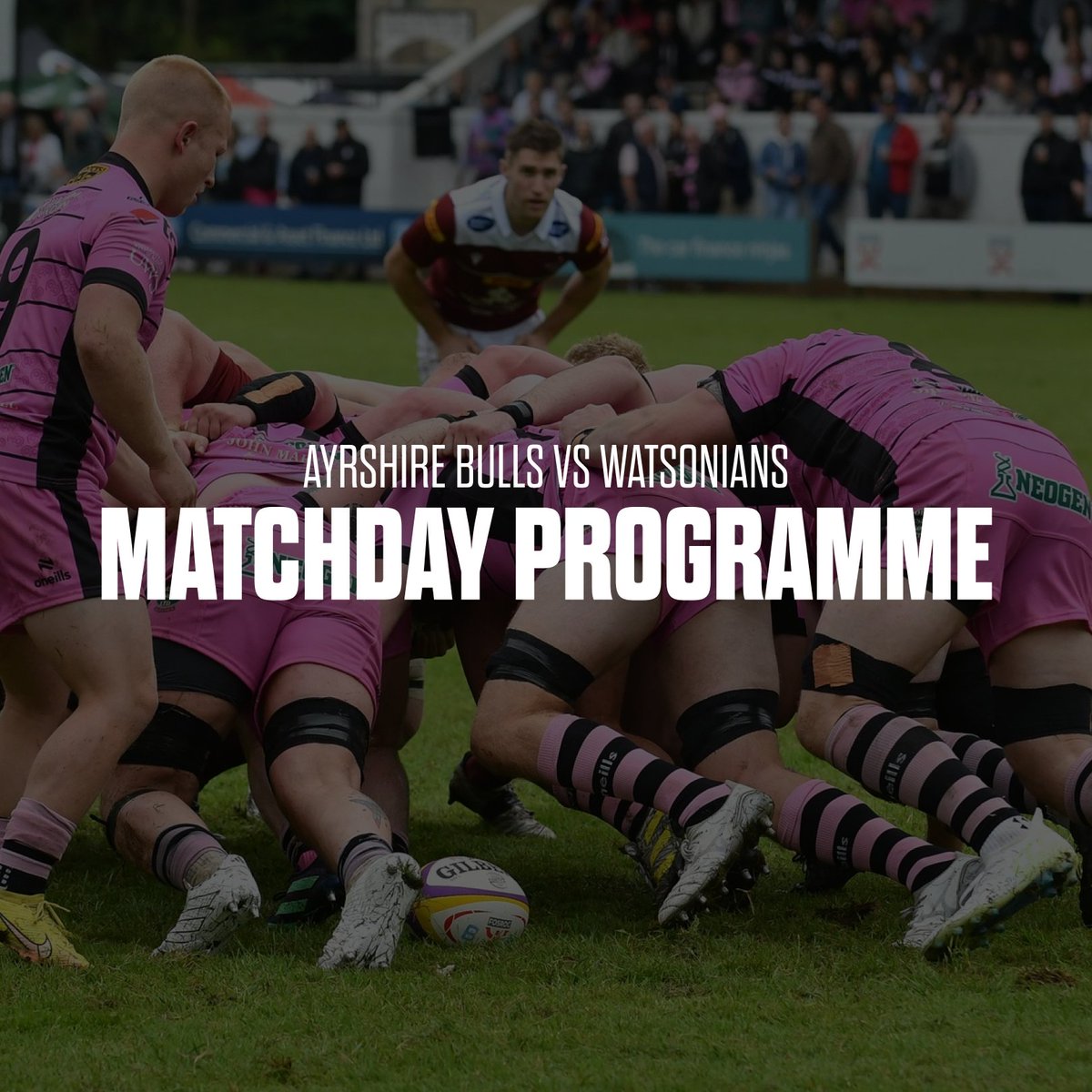 MATCHDAY PROGRAMME | 🐂 Read our Matchday Programme for tonight’s Round 2 of the FOSROC Super Series Sprint as we take on Watsonians at Millbrae! Read here: 👇 loom.ly/5pPxQYA #backingthebulls | #FOSROCSuperSeries