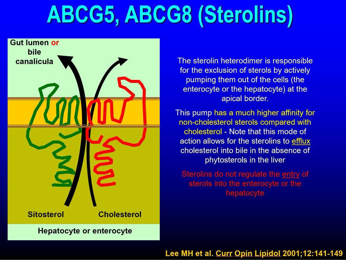 Drlipid tweet picture