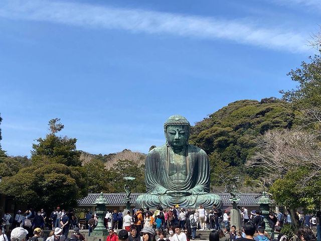 鎌倉・鎌倉大仏🚶‍♂️🚶‍♀️🚶

#鎌倉大仏 #鎌倉大佛 #高徳院 #神社仏閣 #寺社仏閣 #歴史的建造物 #銅造阿弥陀如来坐像 #国宝 #大異山高徳院清浄泉寺 #鎌倉 #長谷駅 #鎌倉観光 #神奈川 #神奈川観光