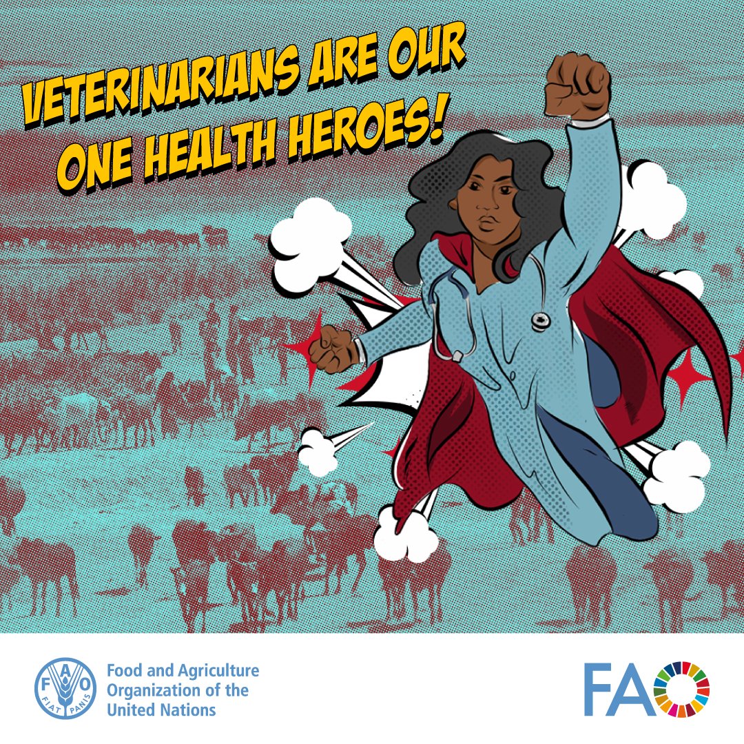 Veterinarians safeguard animal health but also contribute to public health by preventing the spread of zoonotic diseases and ensuring food safety. They are essential health workers. They are #OneHealth heroes. 👩‍⚕️👨‍⚕️🌍🥼🐄🍎🌱 bit.ly/3WfvaXQ #WorldVeterinaryDay