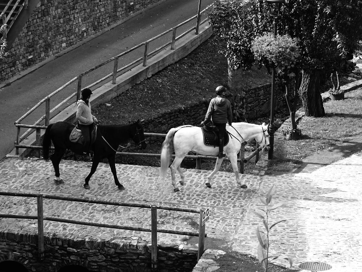 A cavall...Ordino #ordino #valira #escaldes #andorra #principatdandorra #païsoscatalans #catalunya #landscapephotography #landscape #landscapes #landscape_captures #landscape_lovers #streetstyle #streetsphotography #street #bnw #bnwphotography #bnwmood #bnw_greatshots