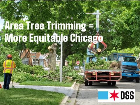 On #ArborDay2024, we are proud to share our success with a new citywide area tree trimming! Crews now trim all trees in one area, ⬆️ equity & efficiency, and allowing proper maintenance of tree canopy. This year crews trimmed 96,328 trees compared to 35,496 last year, ⬆️ of 171%!