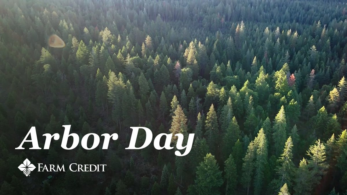 Happy Arbor Day! At Farm Credit, we are proud to support the foresters and producers who help preserve and conserve our land.