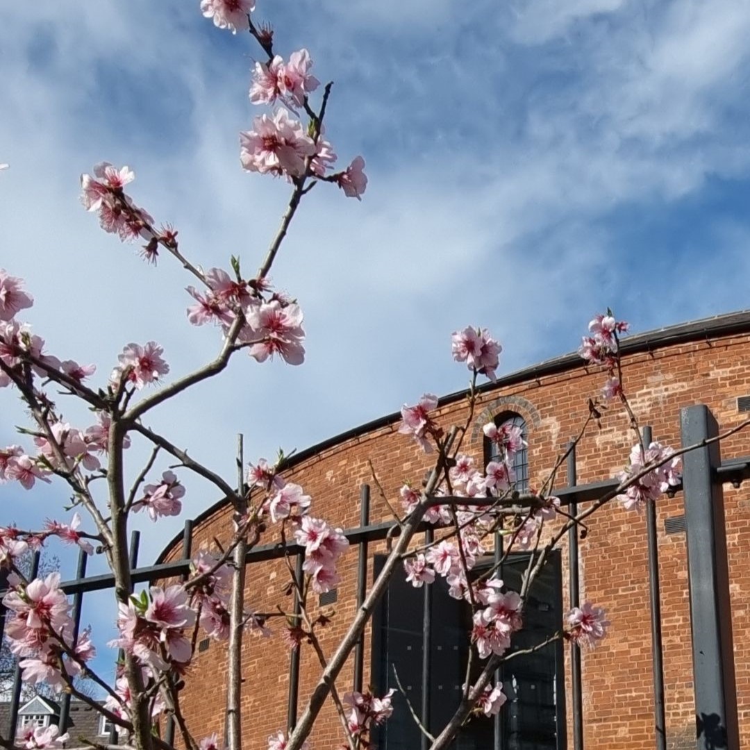 Our free visitor centre is open this weekend! Come and learn about the Roundhouse. We are open 9:30am - 4:30pm. Book onto a free building tour today, roundhousebirmingham.org.uk/product/free-d… Ask our visitor centre team about our Big Birthday event happening in a few weeks time! #Birmingham