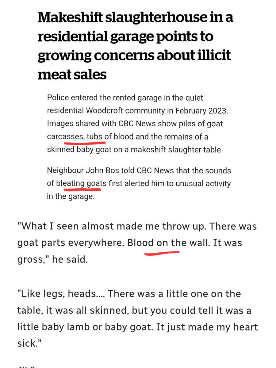 Halal slaughterhouse inside a residential house was busted by Police in Edmonton.
So sick.

The garage got shipments of live goats where they were butchered.

There were goat carcasses everywhere, tubs of blood and blood on the walls and their bleating is what alarmed the…