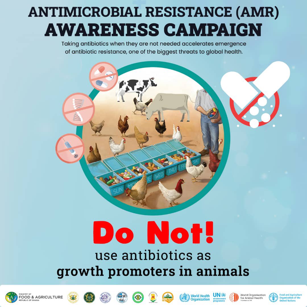 Protecting our future: Using antibiotics responsibly in animal agriculture means to avoid using them as growth promoters. Let's advocate for sustainable practices for a healthier planet. #ResponsibleFarming #HealthFirst