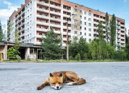 Discover the truth about Chernobyl's wildlife after the nuclear disaster. Are animals adapting or facing genetic changes? Find out in this blog post.

#Chernobyl #Wildlife #NuclearDisaster #GeneticChanges #RadiationEffects #Nature #EcologicalImpact

Read:  freeastroscience.com/2024/04/cherno…