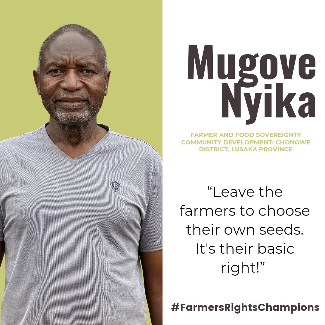 🔗 Mugove Walter Nyika, a community development facilitator, is dedicated to building resilience and food sovereignty in Africa. #FarmersRightsChampions #SeedIsLife zambianagroecology.org/mugove-walter-…
