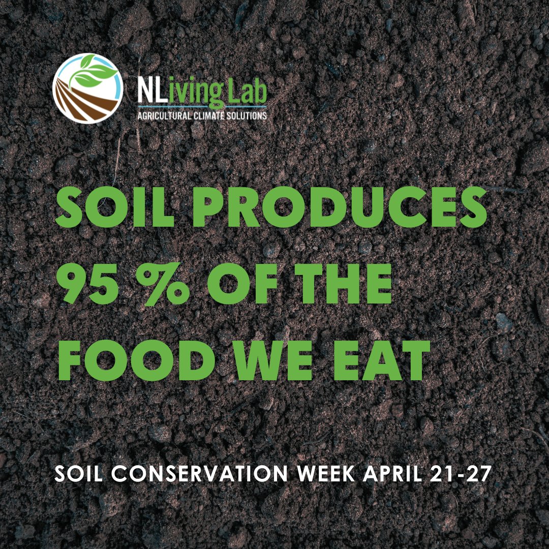 Soil produces 95% of the food we eat. It is a living breathing system that provides nutrients & water to crops as well as homes to billions of soil organisms, which feed crops by turning dead plant material into nutrients. #soilconservationweek #NSCW2024 #NLLivingLab