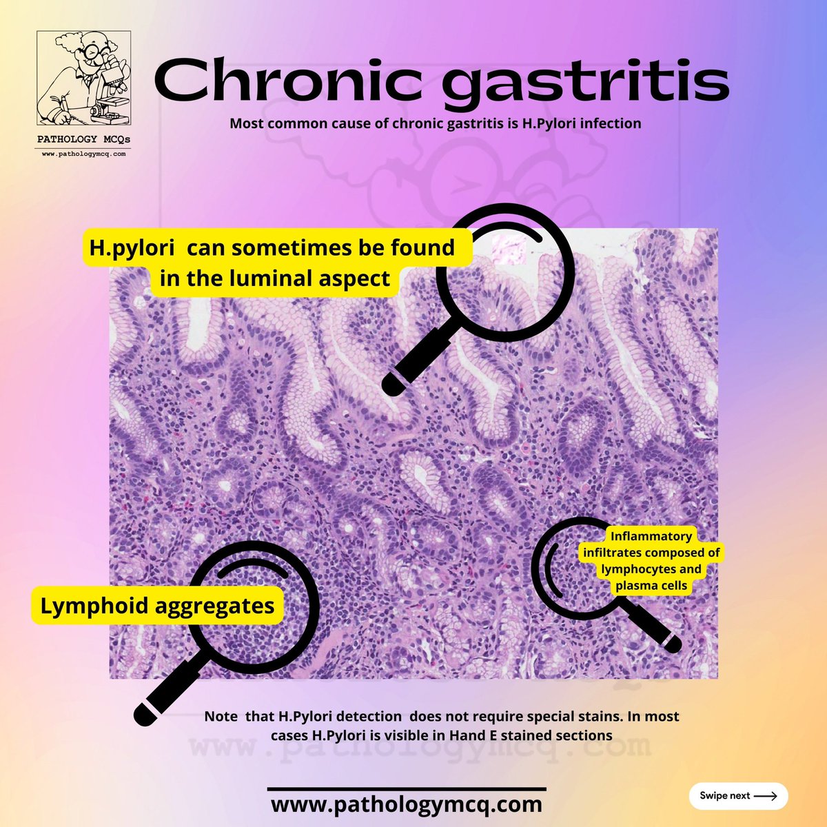 Pathology_mcqs tweet picture