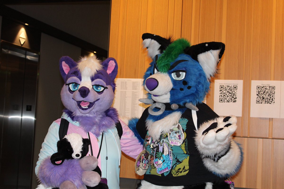 LullabytheSkunk's tweet photo. Lullaby and Bruno (@MeganTheSkunk)
Anthro NW 2021. It was Lullaby’s first con, and I was surprised that some folks already recognized her.
#fursuitfriday 
Photo by @ShamrockScales via @furtrack https://t.co/sGoRRpnMGF