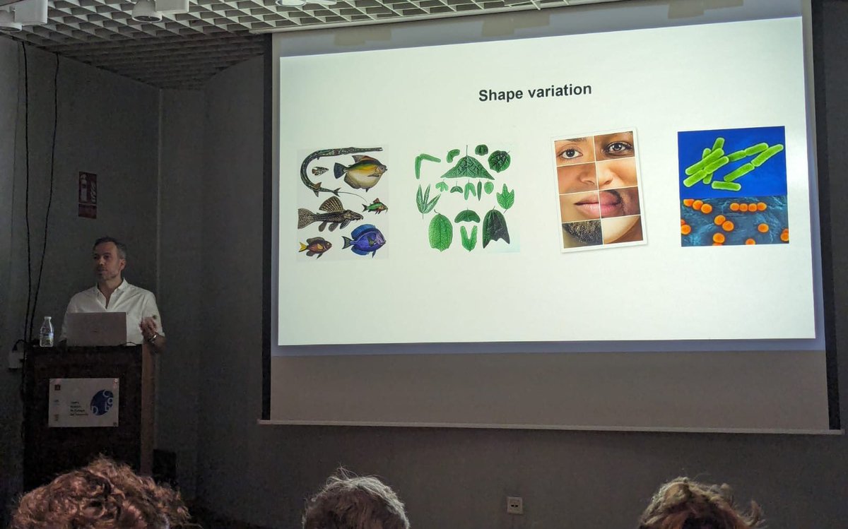 Amazing talk today at #CABDseminars with Alexis Matamoro Vidal. Dr. Matamoro talked about the contributions of cell death to organ shape variation . Alexis was hosted by @fcasfer .