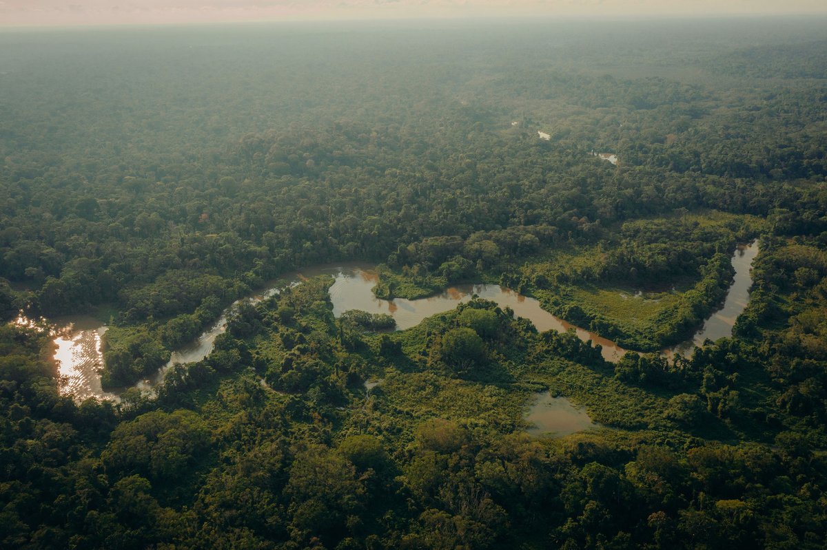 From educational programs to strategic litigation, @FPachamama_Ec is instrumental in promoting and safeguarding human rights and nature rights in Ecuador. Learn more about their transformative work in support of collective and environmental rights! hubs.li/Q02v7hyW0