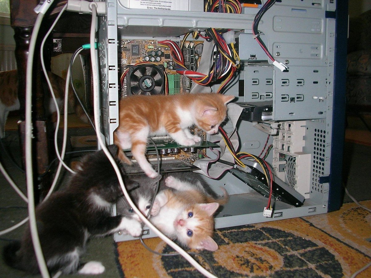 Hello, tech support? The technicians you sent are making everything worse.