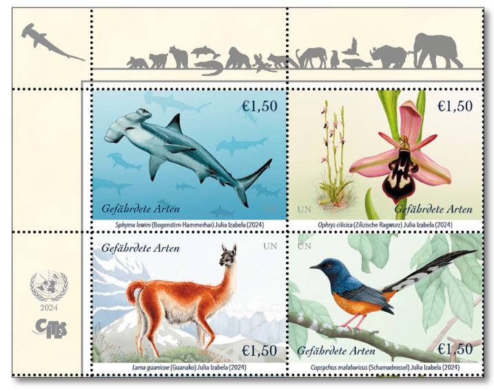 L'Administration postale ONU a émis des timbres sur les espèces menacées d’extinction pour attirer l’attention sur tous les bienfaits que leur conservation garantit à l’humanité Notre lettre d'information #Brèves : l'actualité #ONU en Europe👉 tinyurl.com/47x6es9y #cites