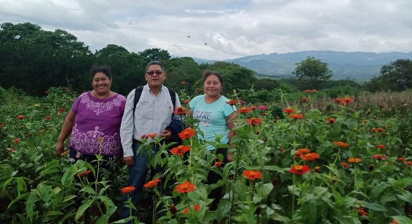Gender & social inclusion is included in all #InnovaHubs activities in #Guatemala & #Honduras through the @CGIAR #AgriLACInitiative. Learning from & replicating the Hub model developed by @CIMMYT in #Mexico. #Read: bit.ly/4aOqIDR
