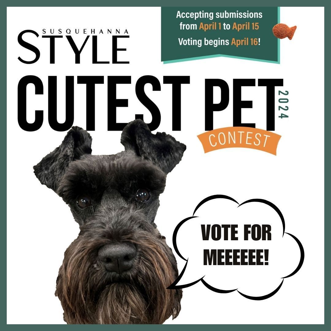 Our Owen is currently in 11th place in the Susquehanna Style Cutest Pet Contest!

Voting closes the 30th! Get your votes in!

VOTE HERE!
buff.ly/49wPzLa 

#officedog #dogtherapy #pawstherapy #caninecompanions #furrycolleague #therapydogs #workplacewellness #dogsatwork