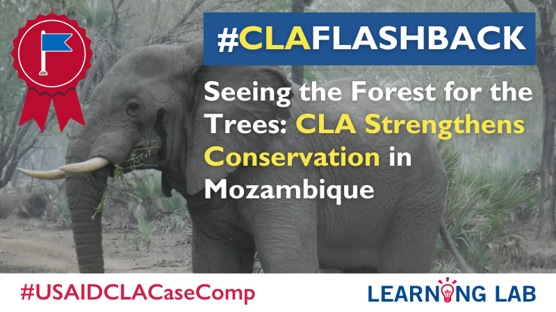 Following #EarthDay, and looking ahead to the 2024 #USAIDCLACaseComp (which opens soon!), revisit this winning #CLA case from 2018: Seeing the Forest for the Trees: CLA Strengthens Conservation in Mozambique 🌳 bit.ly/3UbP2Zl #CLAFlashback