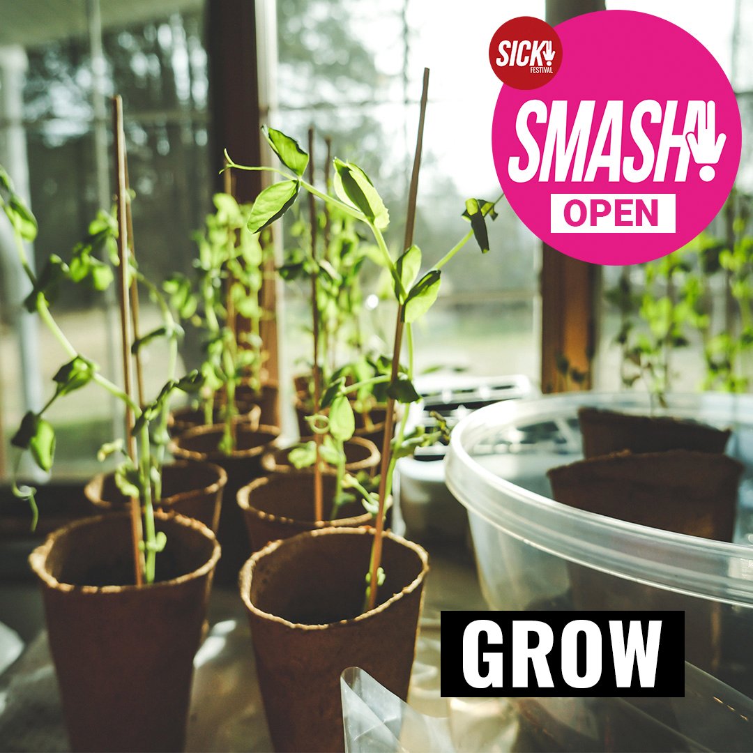 Next Saturday, 2 free events, SAFE installation and SMASH! Open: GROW workshop, will be launching in Harpurhey. Register for GROW, and plant the seeds of good intentions within the installation, open for visitors.

📍: @shopharpurhey
📅: 4th May
Register: sickfestival.com