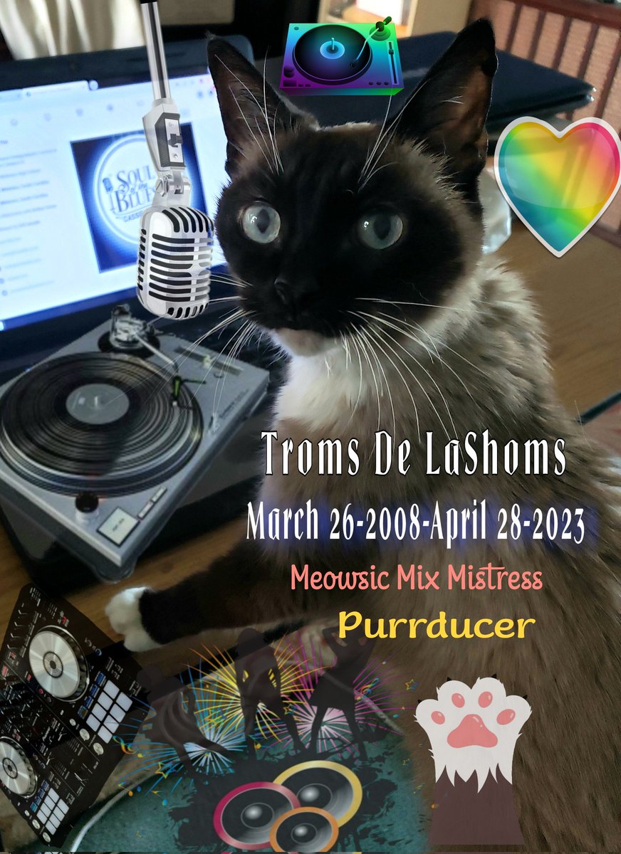 #FelineFriday Thinking of my sweet little show purrducer on the anniversary of her crossing. #OTRB 🌈 Thank you for loving us, our smart, loving, beautiful little darling. I love you, I miss you. 😇 😢 😿 😹 ❤ 🐈 🐾 🏡 #Anniversary #TromsDeLaShoms #Purrducer #TheCatOfAllCats…