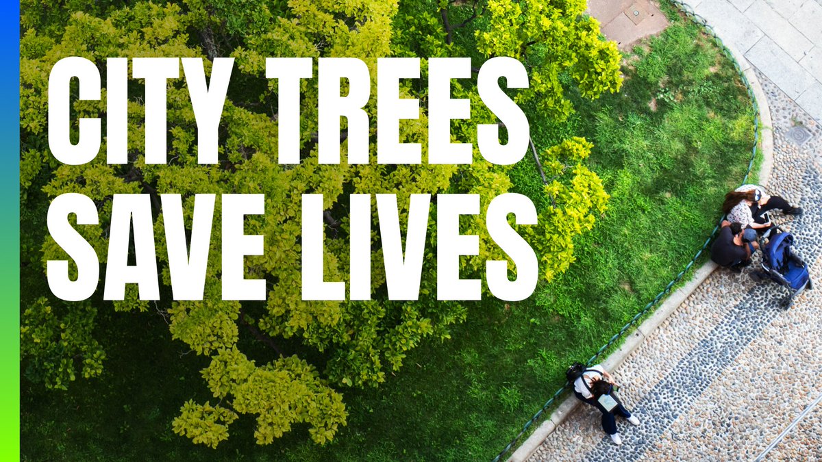 We can all agree that trees are pretty great. But research shows they’re not just “nice to have” in cities… they’re a MUST have. @ArborDay Foundation's Dan Lambe explains why: youtu.be/urV1DdMJU98 #ArborDay #ArborDay2024