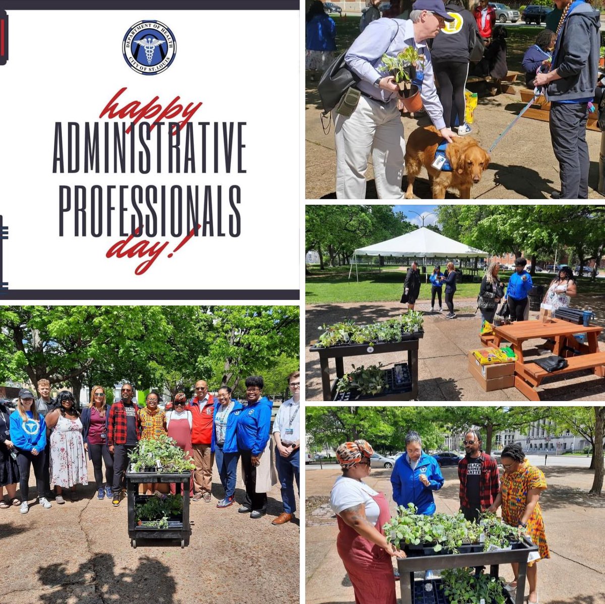 A healthy work environment has been my number one priority. I’m so proud to have grown the Department by over 35% in my first 2 years. Our quarterly wellness days are a big part of those retention (not just recruitment) efforts. This one was so much fun! Pup therapy and planting!