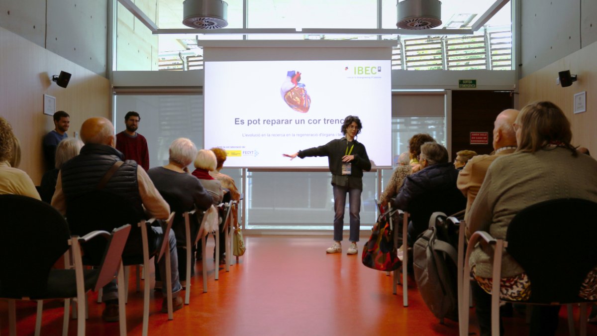 IBECBarcelona's tweet photo. @embl @EMBLEvents @EMBLBarcelona @XavierTrepat @alinabatzi @IPFDD @KStapornwongkul @thermofisher @cultek_bio @ddbiolab @Dev_journal 👵👴Egaging society at #EMBL_IBECConf!
🔬🧫Citizens aged 65+ joined in a workshop on Organ and Tissue Regeneration as part of the #IMAB_IBEC project, supported by @FECYT_Ciencia.
💬 Their insights will guide us in designing new research projects bridging science with society! https://t.co/5uhDcmzVzr