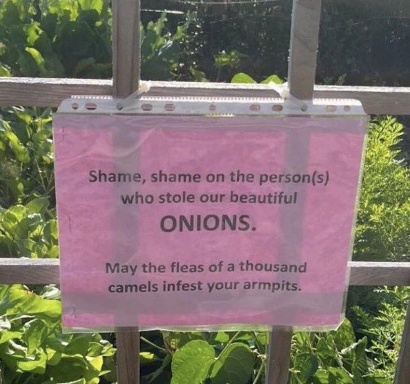 No Context Brits (@nocontextbrits) on Twitter photo 