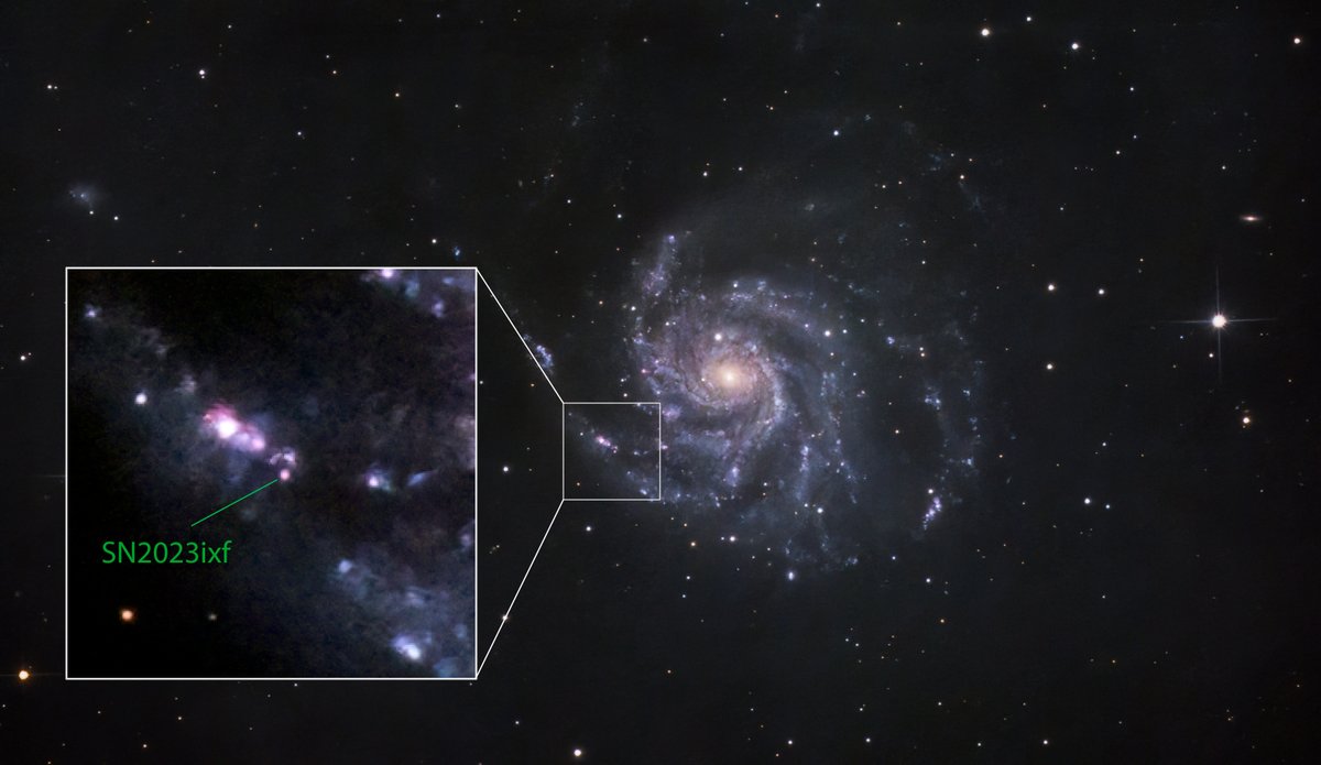 #SN2023ixf in #M101 on 2024 April 22.