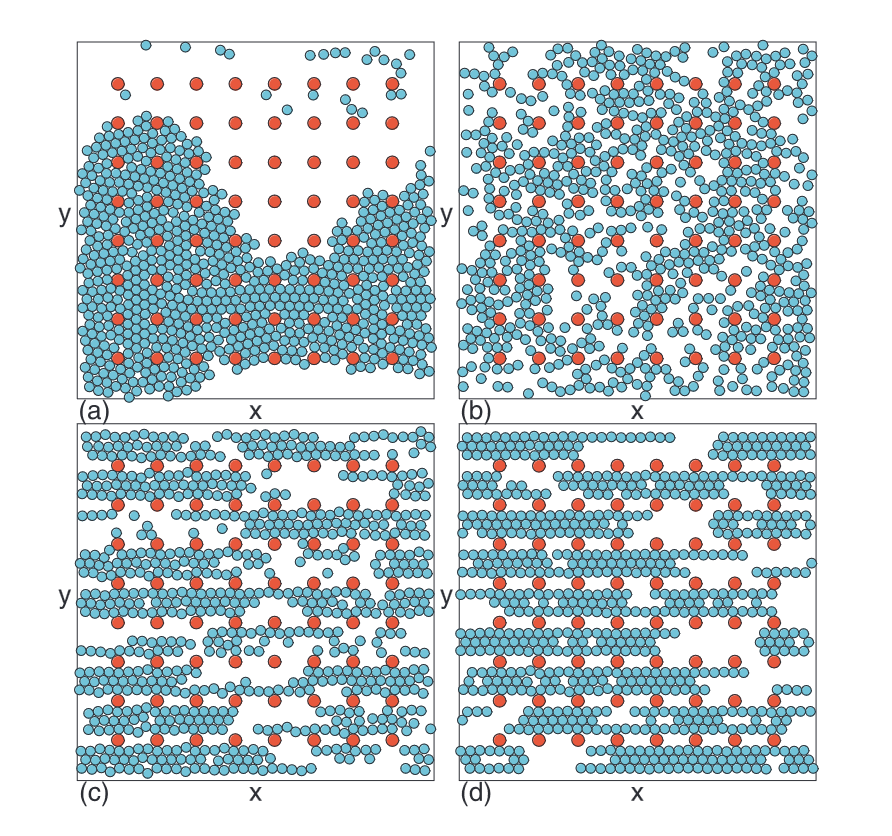 FREE TO READ - FOCUS ARTICLE - OPEN ACCESS: Pattern formation and transport for externally driven active matter on periodic substrates by C. Reichhardt and C. J. O. Reichhardt - #FreeToRead #FocusArticle #OpenAccess @LosAlamosNatLab

👉 vu.fr/lAcVn