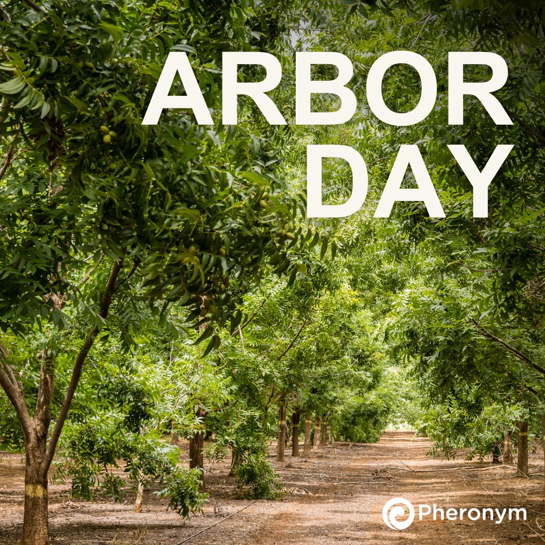 Happy #ArborDay 🌳 At Pheronym we help protect trees by providing #climatesmart, decarbonized ag #pestcontrol. Check out our 5th peer reviewed study that shows how our product Nemastim™ improves beneficial nematodes' ability to control #pecanweevils: ow.ly/q5oY50Rmoac