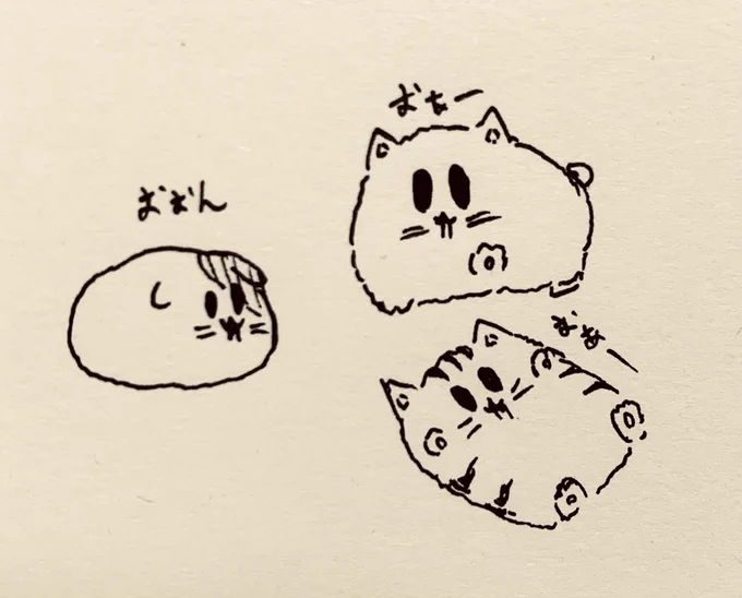 深夜のもち猫さん 