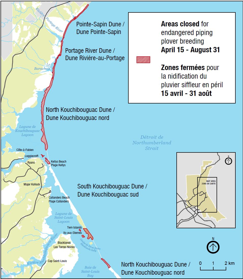 Access to the areas marked in red on this map is prohibited from April 15 to August 31 to protect critical Piping Plover breeding habitat. For more information: ow.ly/XB4C50Rol4A #ParksCanadaConservation