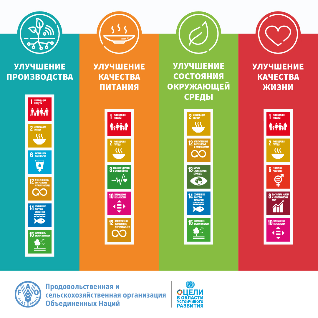 В основе работы @FAO лежат #4НаправленияУлучшений. Нам нужны БОЛЕЕ эффективные, инклюзивные и устойчивые агропродовольственные системы, чтобы наша планета соответствовала требованиям будущего. #ЦУР ➡️ bit.ly/3BpUI7M