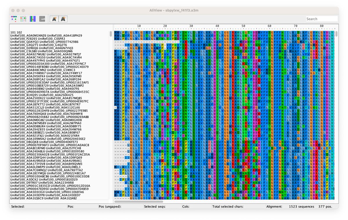 Chris LB Graham tweet media