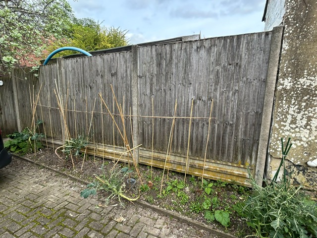 Garden update! Our runner bean poles are now in place along with supports for tomatoes which will be planted alongside courgettes, peas &amp; purple sprouting broccoli. Clients enjoyed our home grown rhubarb crumble last week. Here's support worker Chris sorting the poles &amp; compost.