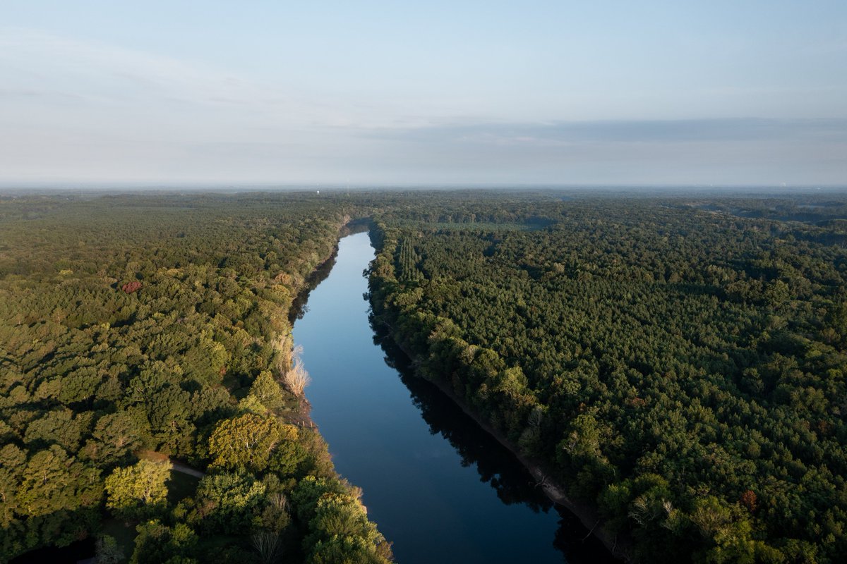 The Nature Conservancy in North Carolina (@nc_tnc) on Twitter photo Thank you, <a href="/NC_Governor/">Governor Josh Stein</a> for another strong budget to conserve NC’s beautiful natural places! Increased funding for @NCLandandWaterFund, PARTF, and Farmland Preservation…and the conservation tax credit! @nc_tnc #ncpol
📸Fauna Creative Thank you, <a href="/NC_Governor/">Governor Josh Stein</a> for another strong budget to conserve NC’s beautiful natural places! Increased funding for @NCLandandWaterFund, PARTF, and Farmland Preservation…and the conservation tax credit! @nc_tnc #ncpol
📸Fauna Creative