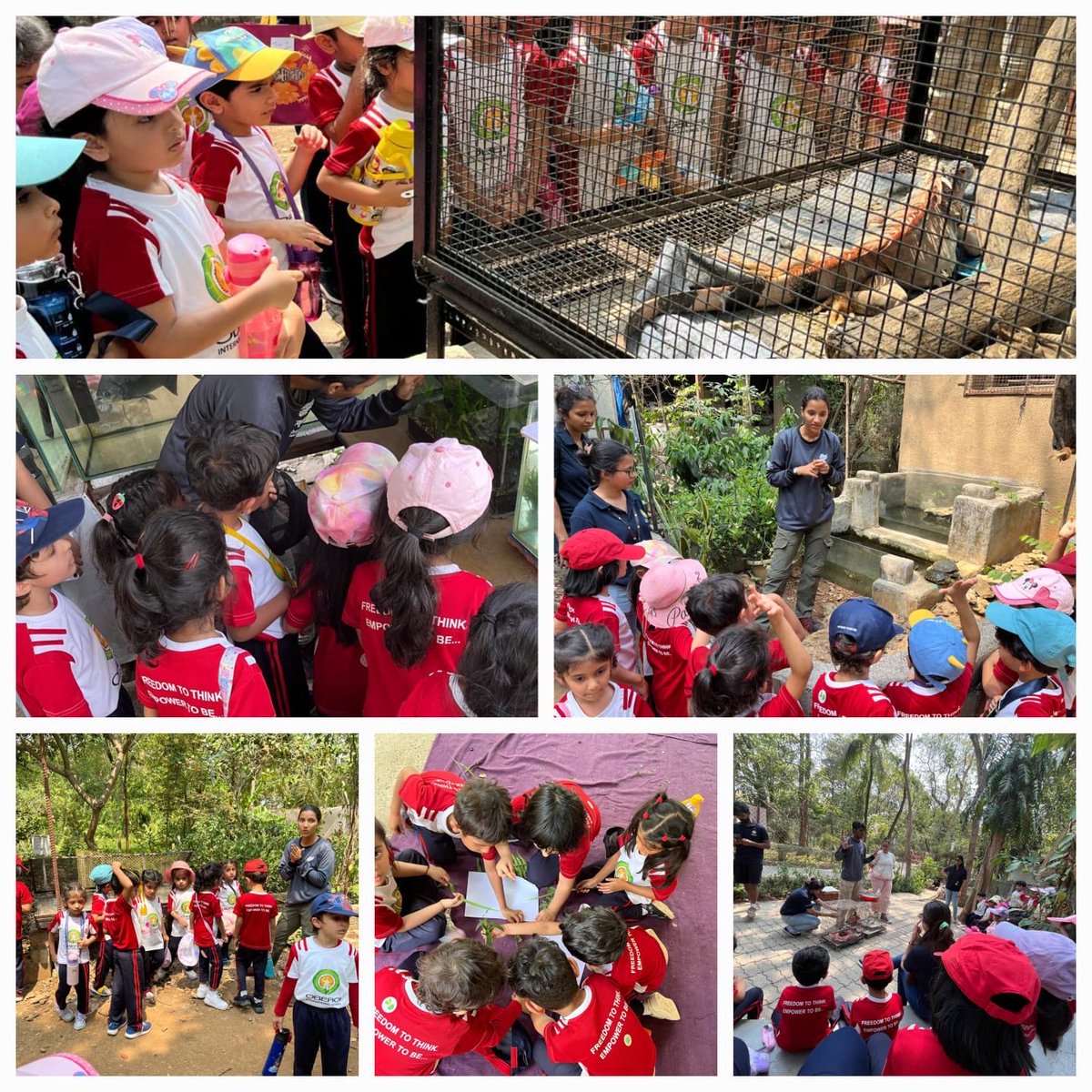 Jesal Umarania (@jesal_umarania) on Twitter photo Immersive experience for our JKG Ss as they continue to inquire further into living and non-living things under the trans disciplinary theme ‘Sharing the Planet’.<a href="/virani_sana/">Sana Virani</a> <a href="/nehaminda/">Neha Minda</a> <a href="/KetakiKTweets/">Ketaki</a> <a href="/ois_primary/">OIS Primary</a> Immersive experience for our JKG Ss as they continue to inquire further into living and non-living things under the trans disciplinary theme ‘Sharing the Planet’.<a href="/virani_sana/">Sana Virani</a> <a href="/nehaminda/">Neha Minda</a> <a href="/KetakiKTweets/">Ketaki</a> <a href="/ois_primary/">OIS Primary</a>