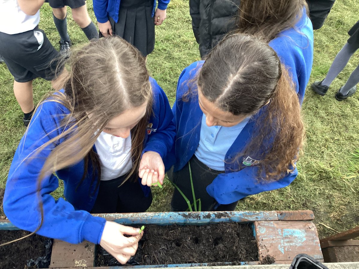 JCAWakefield's tweet photo. We continued our #smallthingsmakeabigdifference project by replanting our herbs and vegetables. If we ‘grow our own’ we can drastically reduce plastic waste. https://t.co/2mc7pAilRW